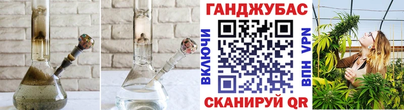 Канабис конопля  Тында 